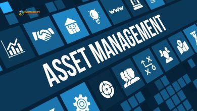 Rare Assets as Signals - Commodity Trade Mantra