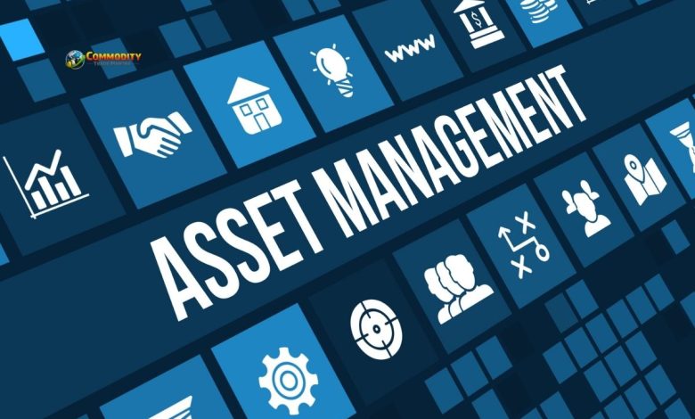 Rare Assets as Signals - Commodity Trade Mantra