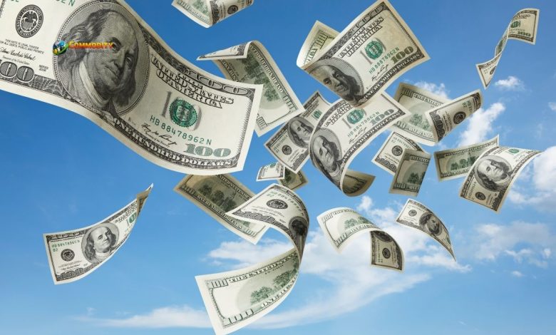 What Capital Flows Reveal - Commodity Trade Mantra